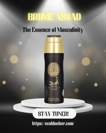 Spray ASSAD